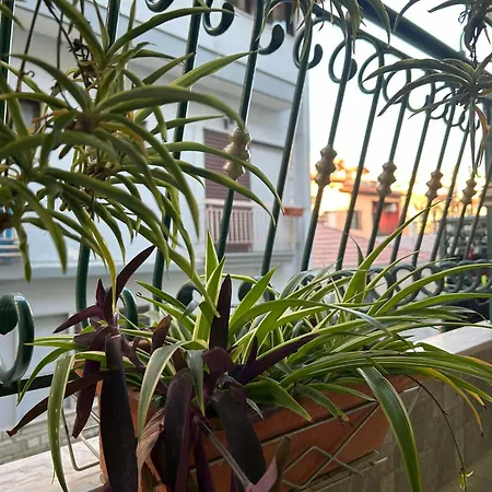 The Makrina Flat Apartman